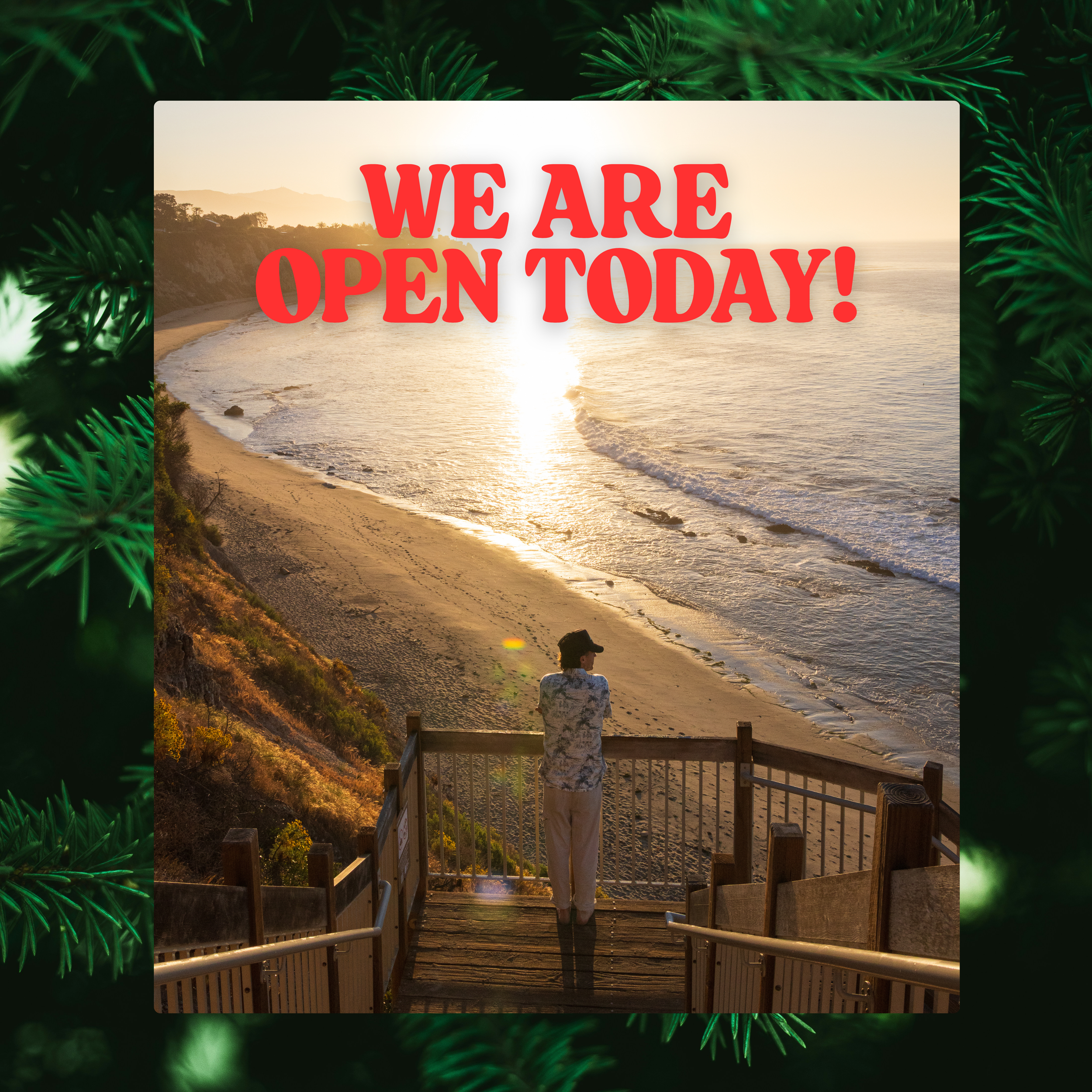 Open for Shopping Fairfax.png