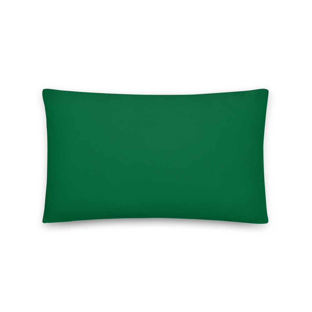 all-over-print-basic-pillow-20x12-back-61fdb118d0606.jpg