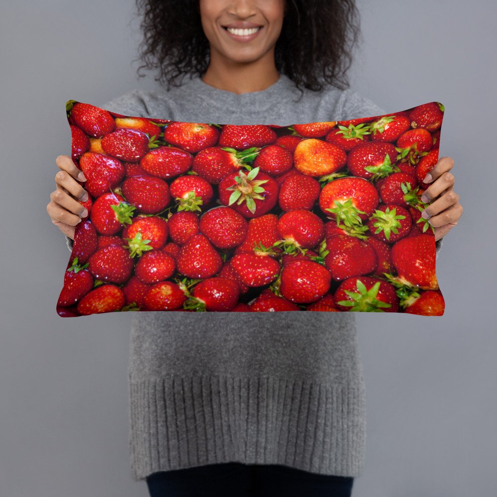 all-over-print-basic-pillow-20x12-front-62114e51a4108.jpg