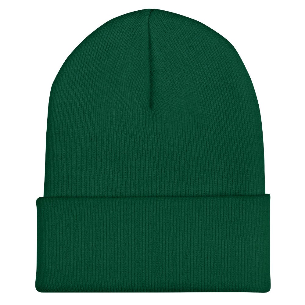 cuffed-beanie-spruce-front-64d90fdeda92f.jpg