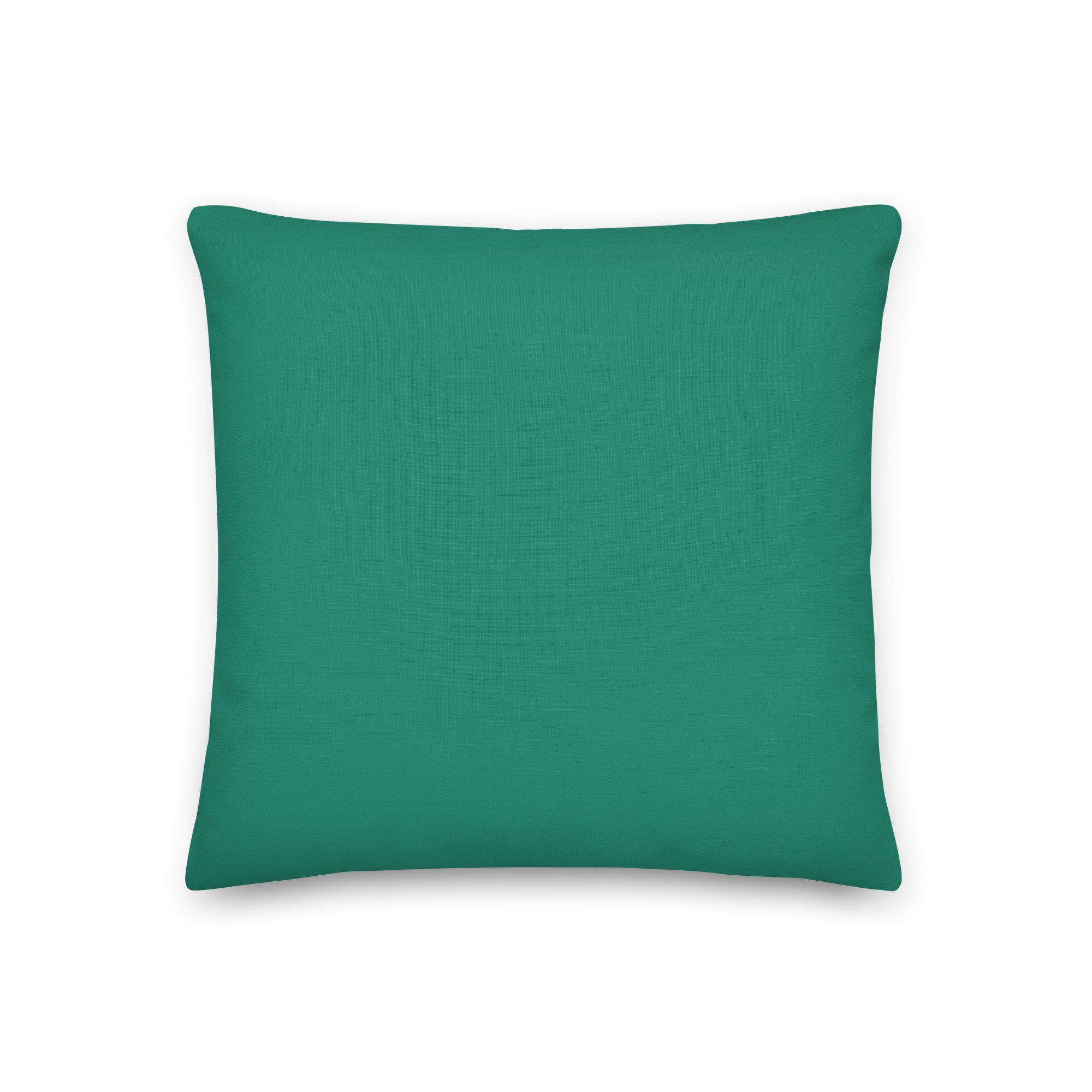 all-over-print-premium-pillow-18x18-back-6866dba11fc0e.jpg