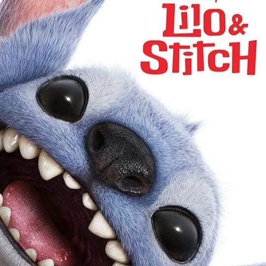 Abbots Langley Lilo and Stitch Summer Camp!