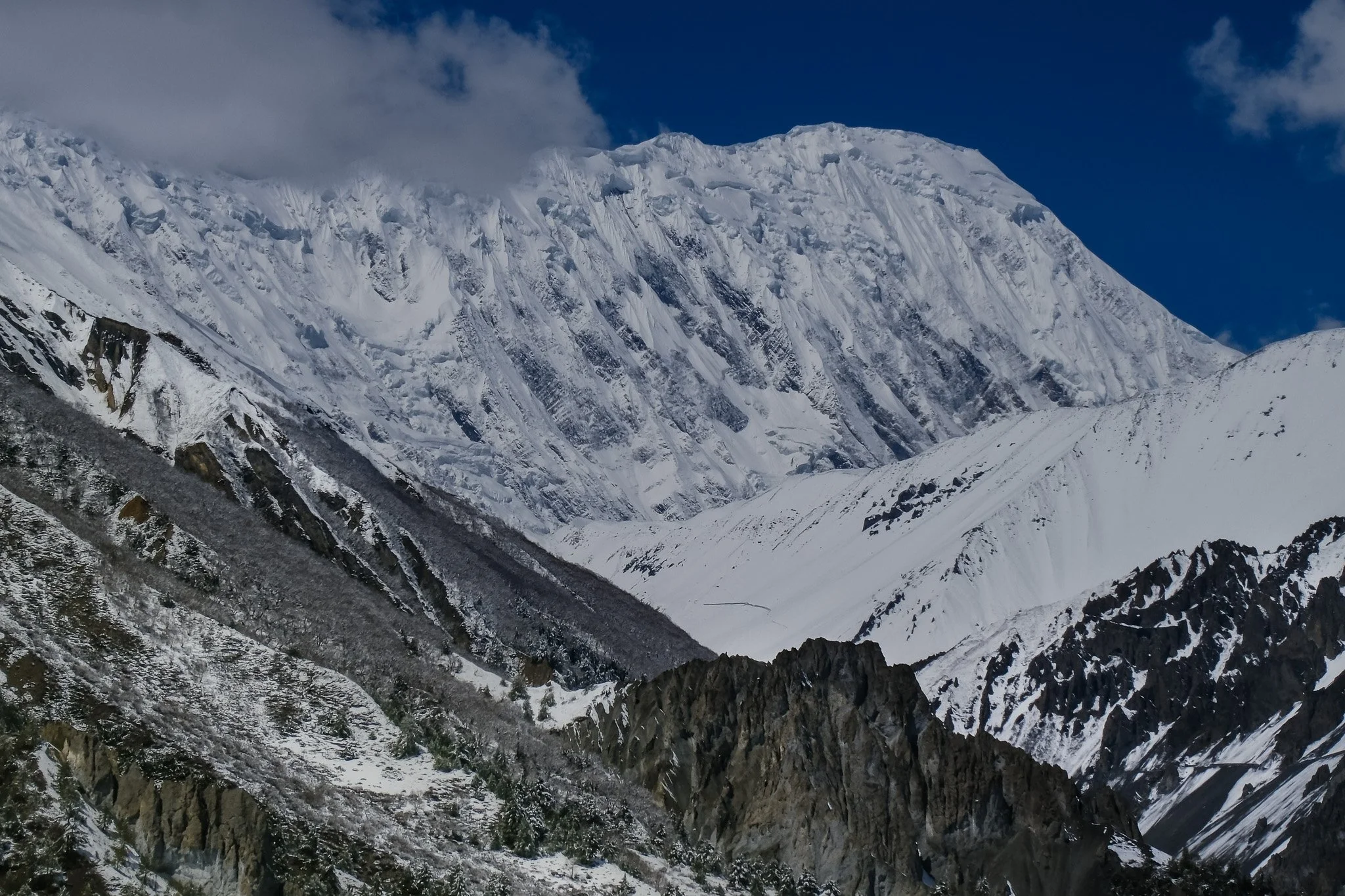 DSCF2742-2.jpg