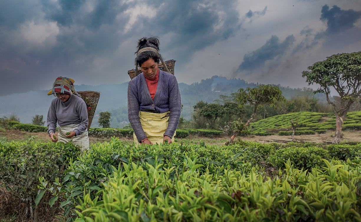 Screenshot 2025-12-28 at 12.53.21 PM.png