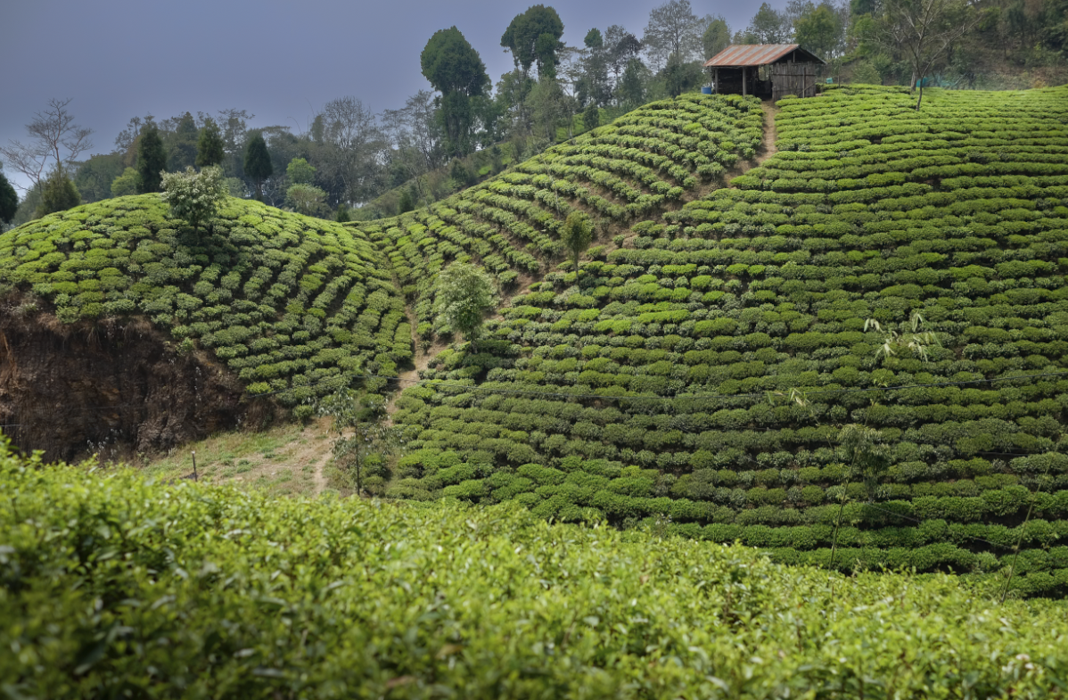 Screenshot 2025-12-28 at 12.52.45 PM.png