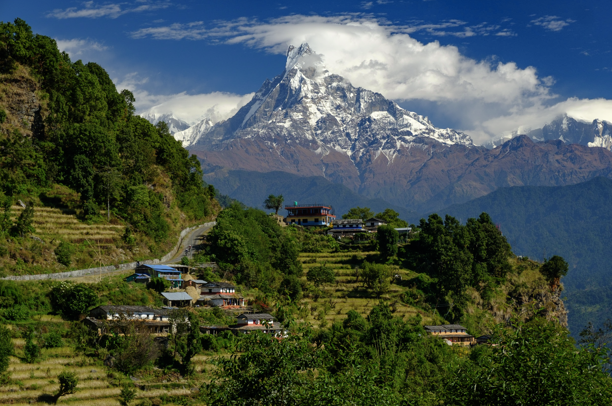 Screen Shot 2023-11-20 at 7.02.09 AM.png