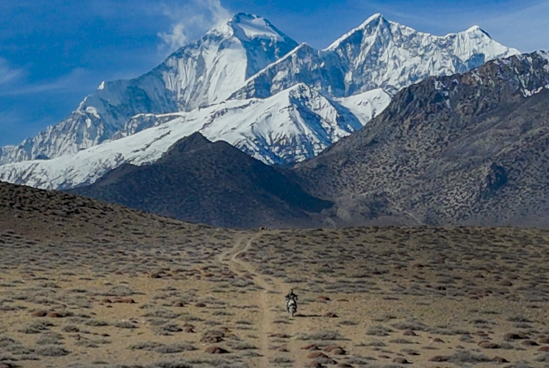 Screenshot 2025-12-28 at 1.00.49 PM.png