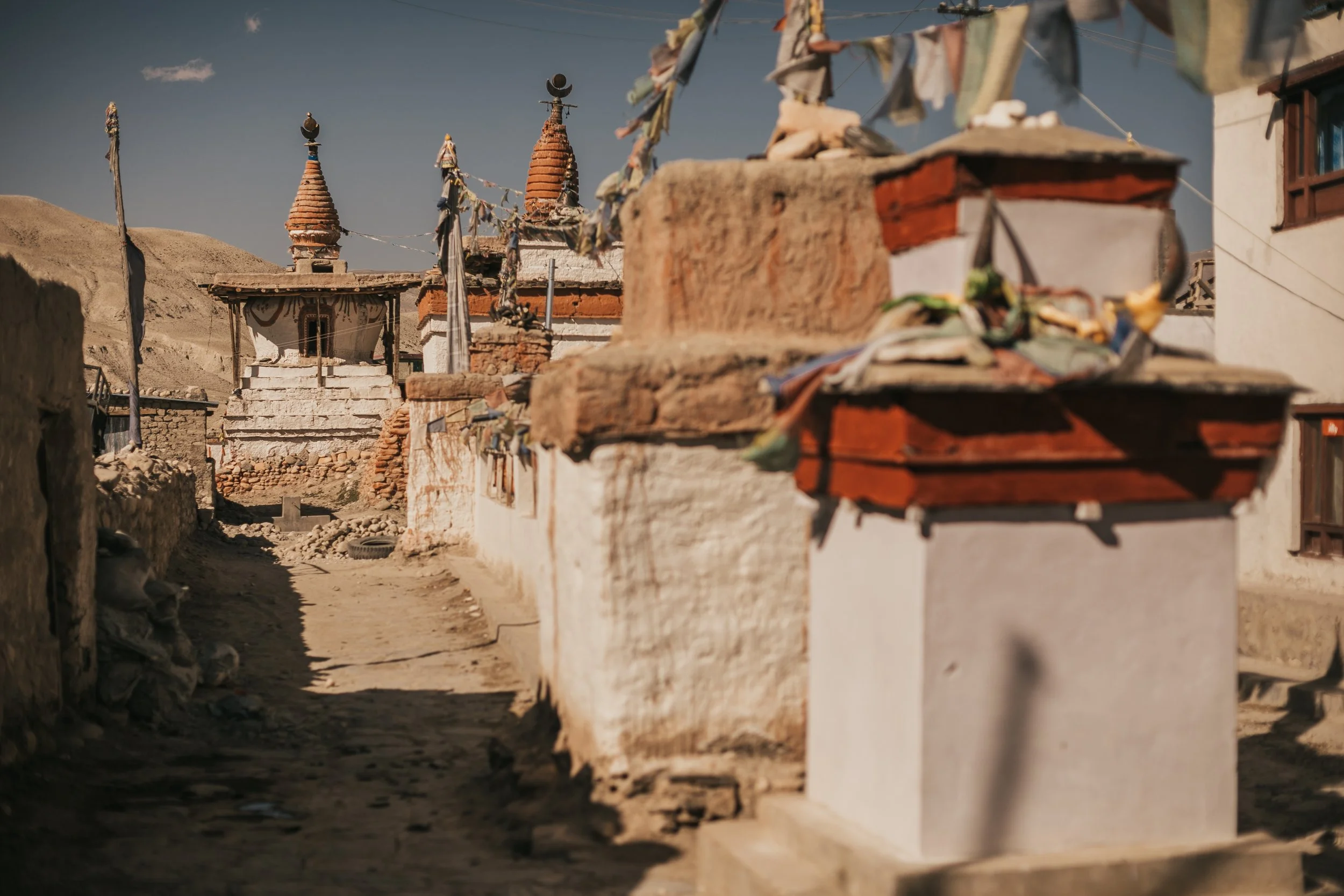 AdobeStock_355075646.jpeg