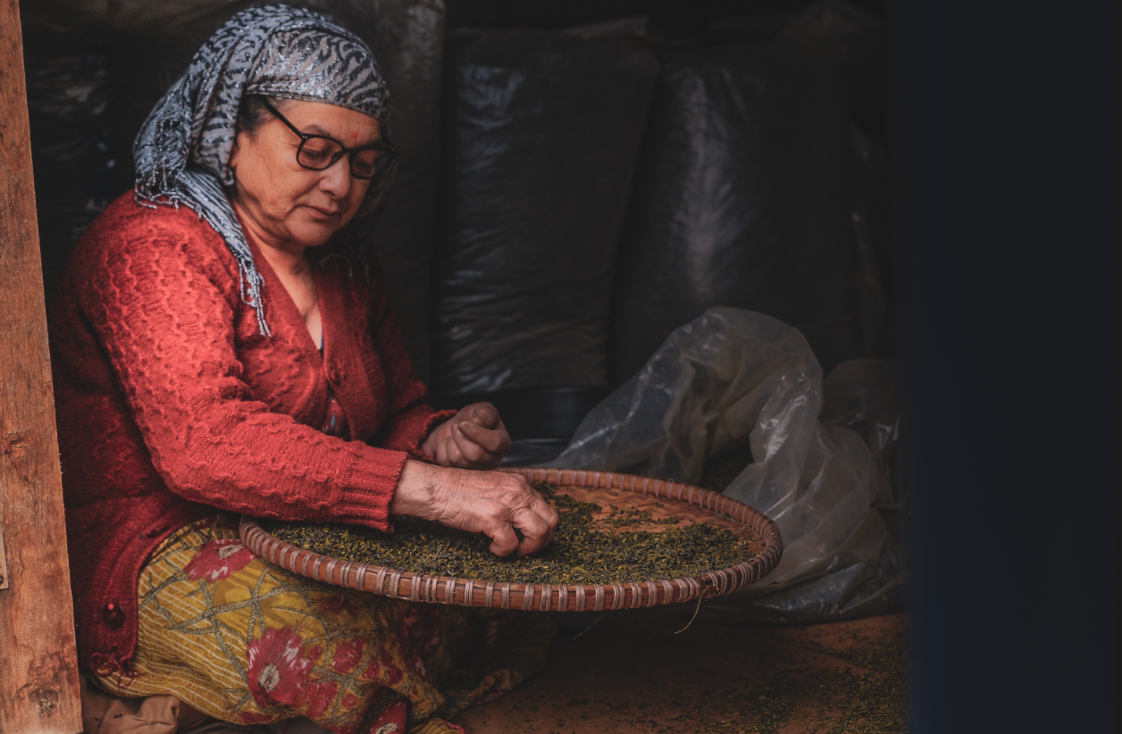 Screenshot 2025-12-28 at 12.53.50 PM.png