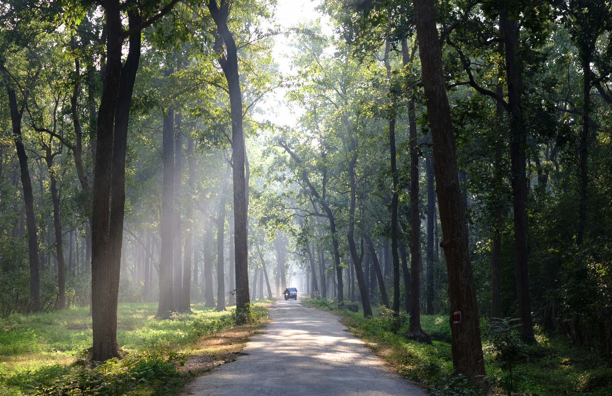 Screenshot 2025-12-28 at 12.54.57 PM.png