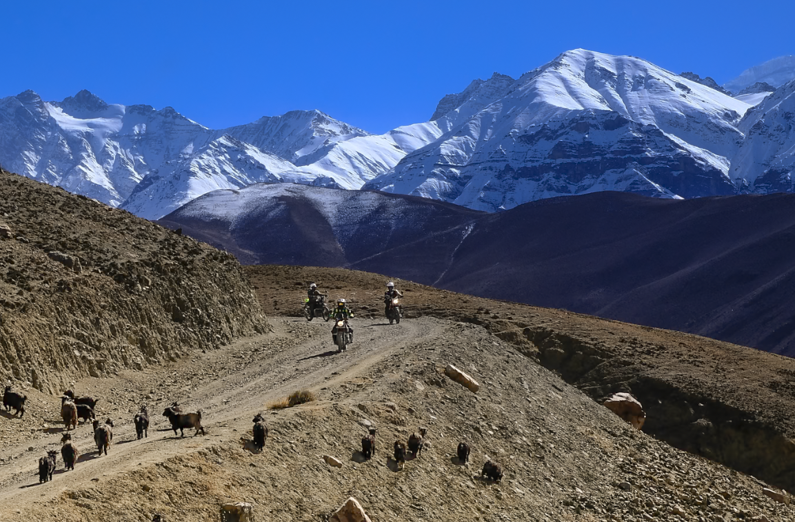 Screenshot 2025-12-28 at 12.55.28 PM.png