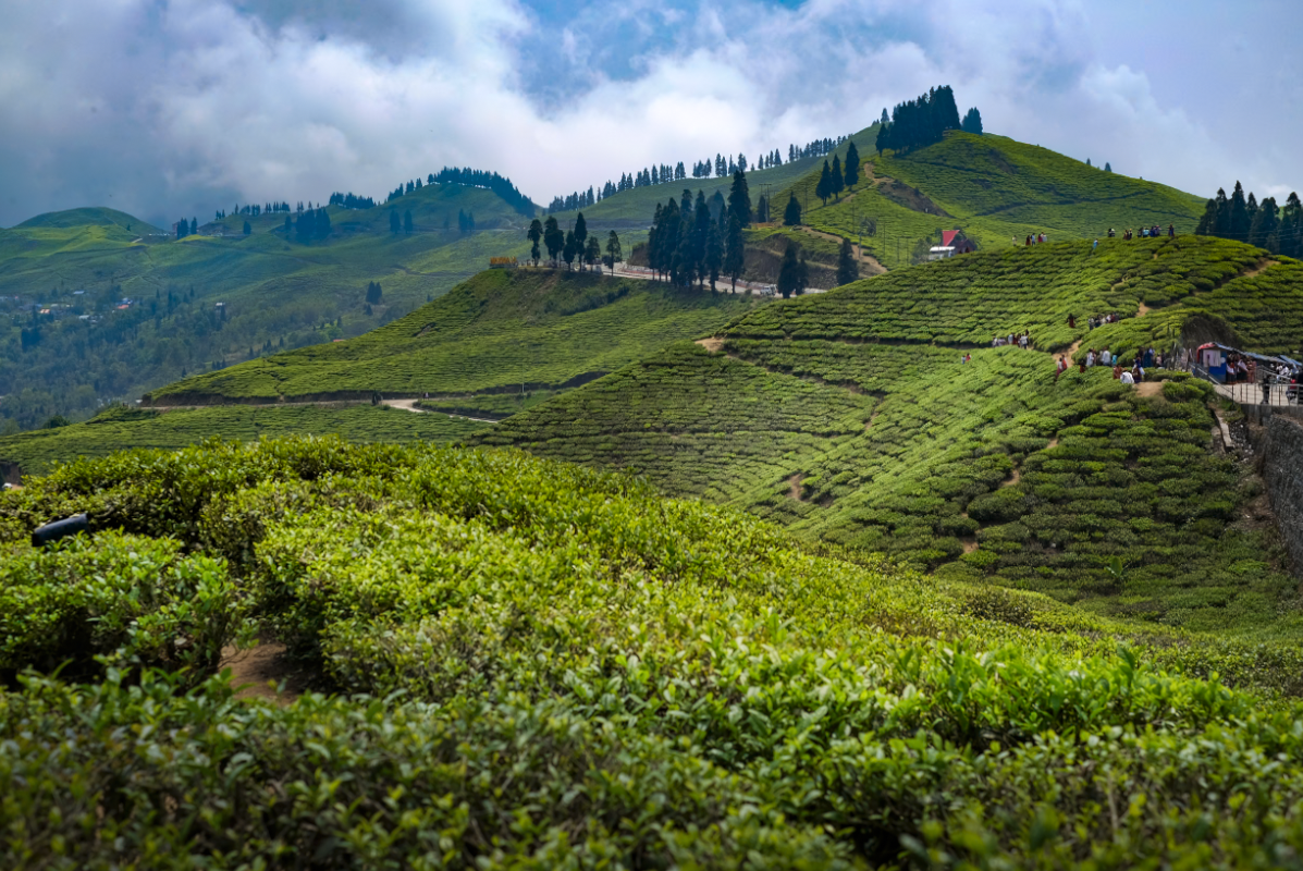 Screenshot 2025-12-28 at 2.41.48 PM.png