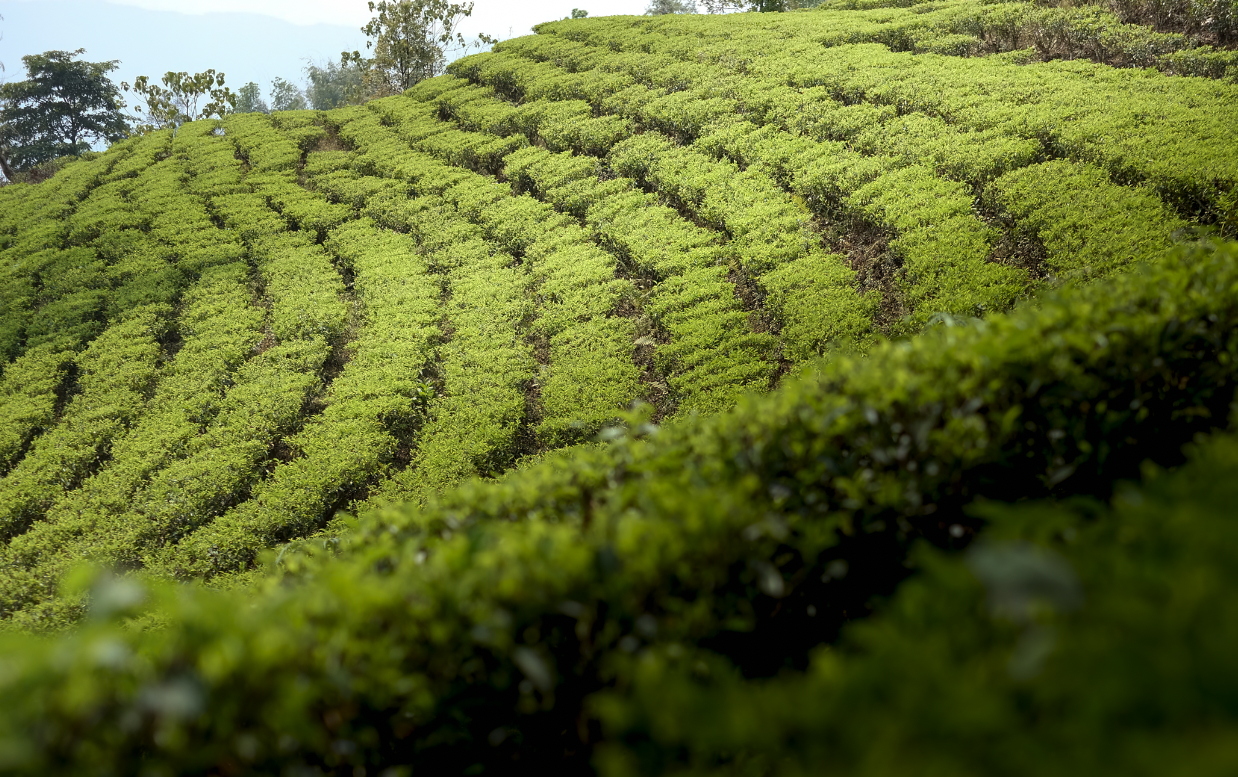 Screenshot 2025-12-28 at 2.33.24 PM.png