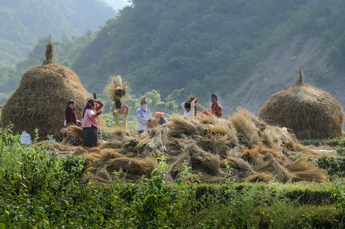 Screenshot 2025-12-28 at 1.05.59 PM.png