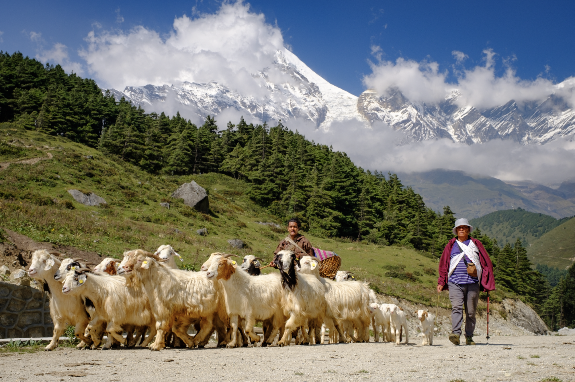 Screen Shot 2023-11-18 at 5.31.41 PM.png