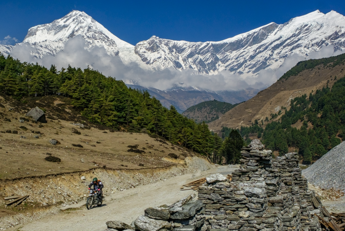 Screenshot 2025-12-28 at 1.08.39 PM.png