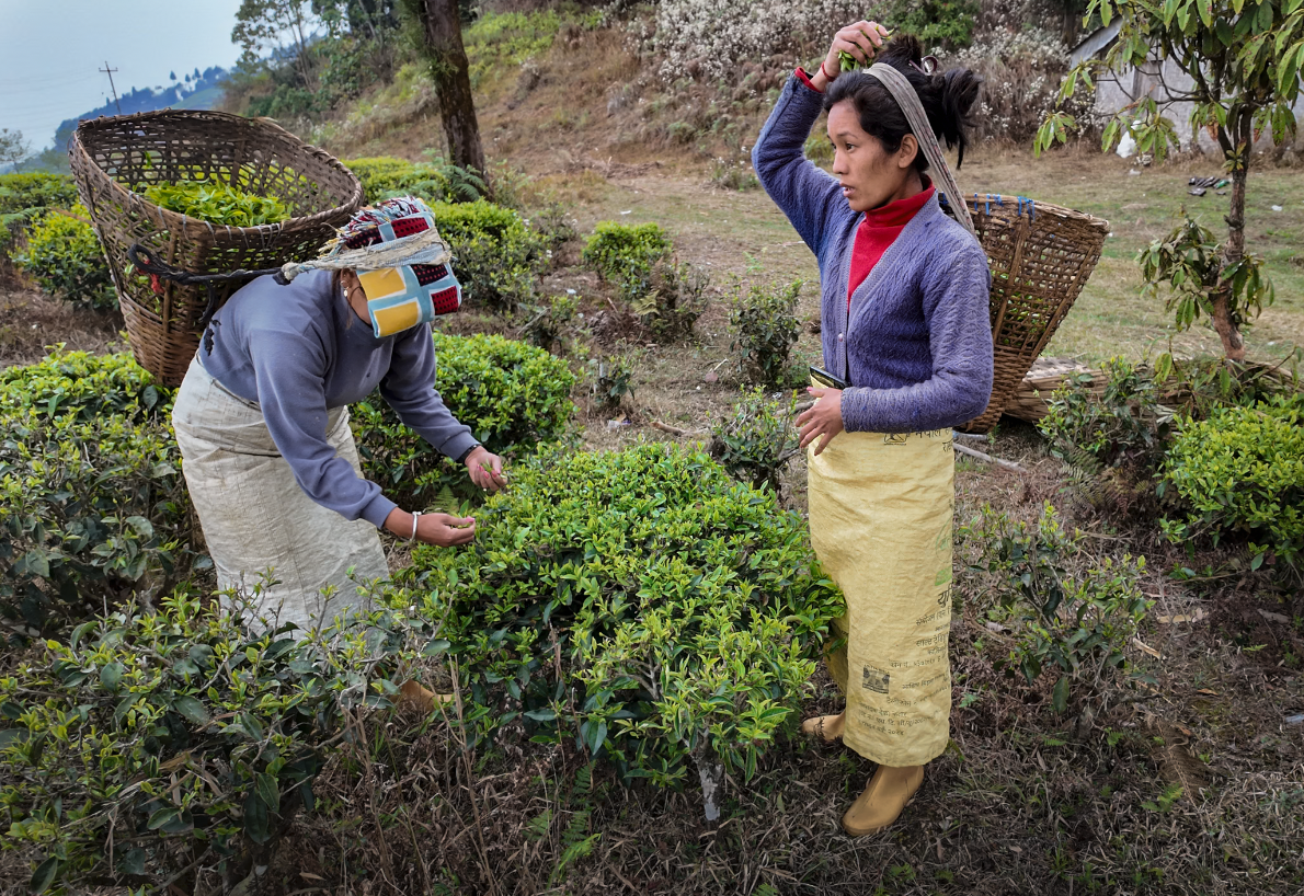 Screenshot 2025-12-28 at 2.34.07 PM.png