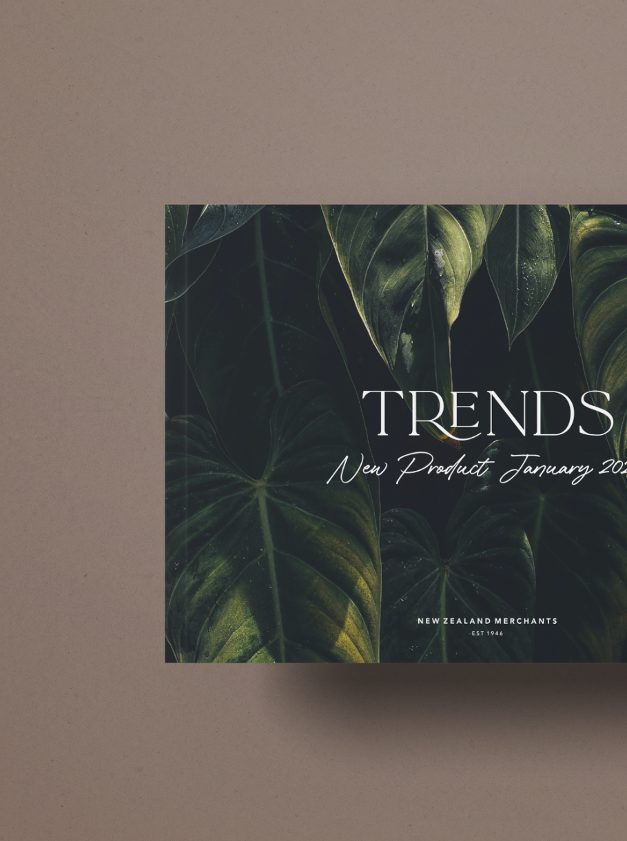 Marketing Presentation, Briscoes Brands 2021