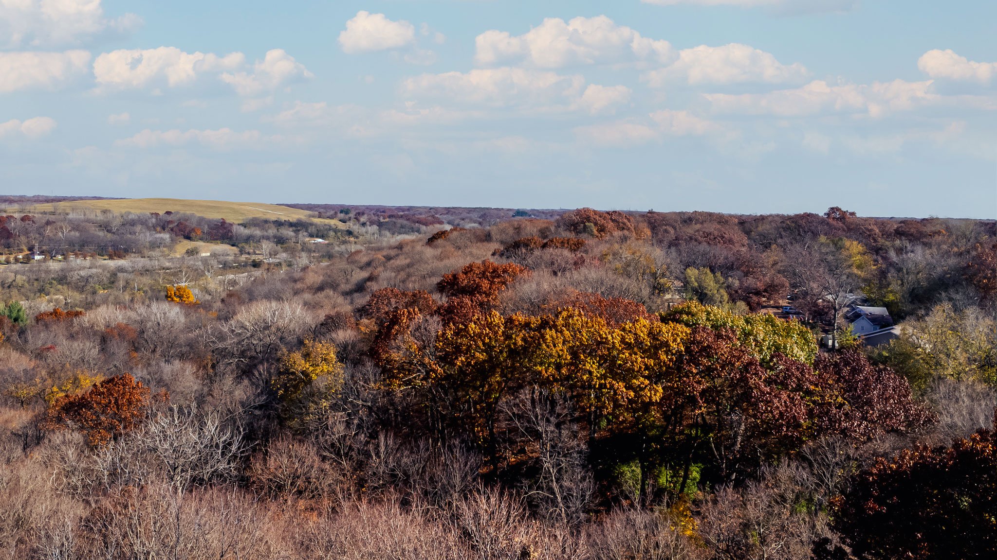 DJI_0113.jpg