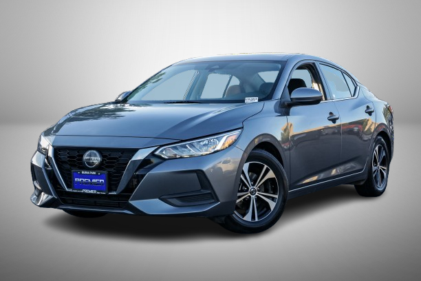 IMG_7175-removebg-preview (2).png