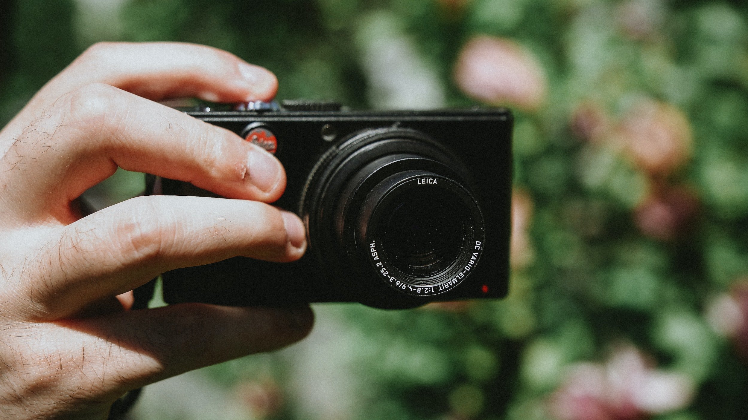 Picture Perfect The Top 10 Point and Shoot Cameras for Capturing Life
