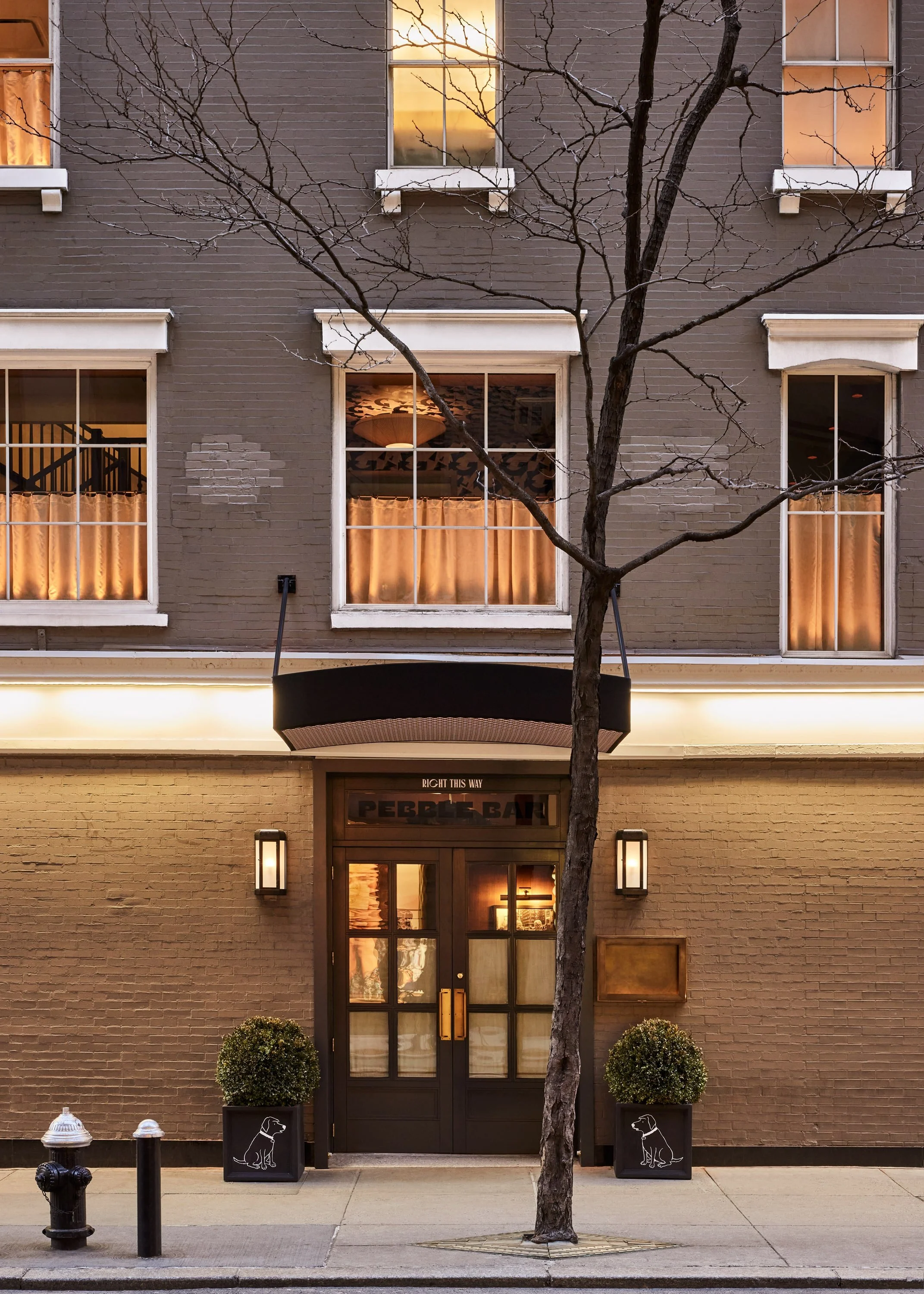 Street view of a bar with large windows, a brick facade, and a door with glass panes. Two potted bushes with illustrated dog logos flank the entrance. A tree with bare branches is in front, and a fire hydrant and a black post are at the sidewalk.