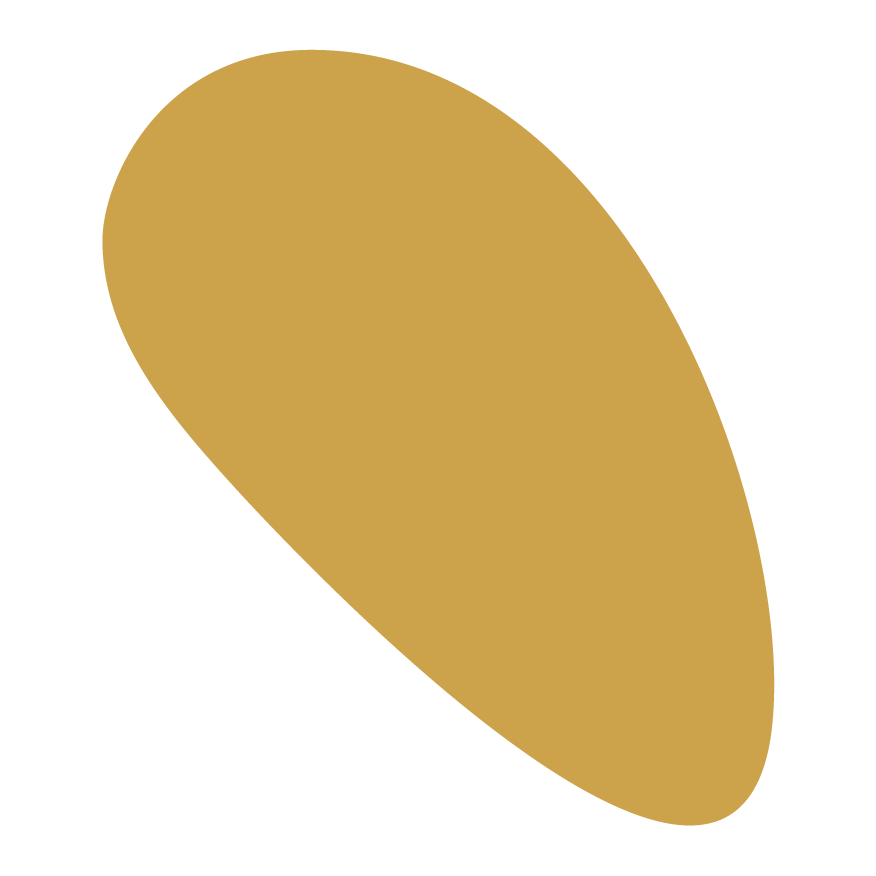 A digital illustration of a single potato.