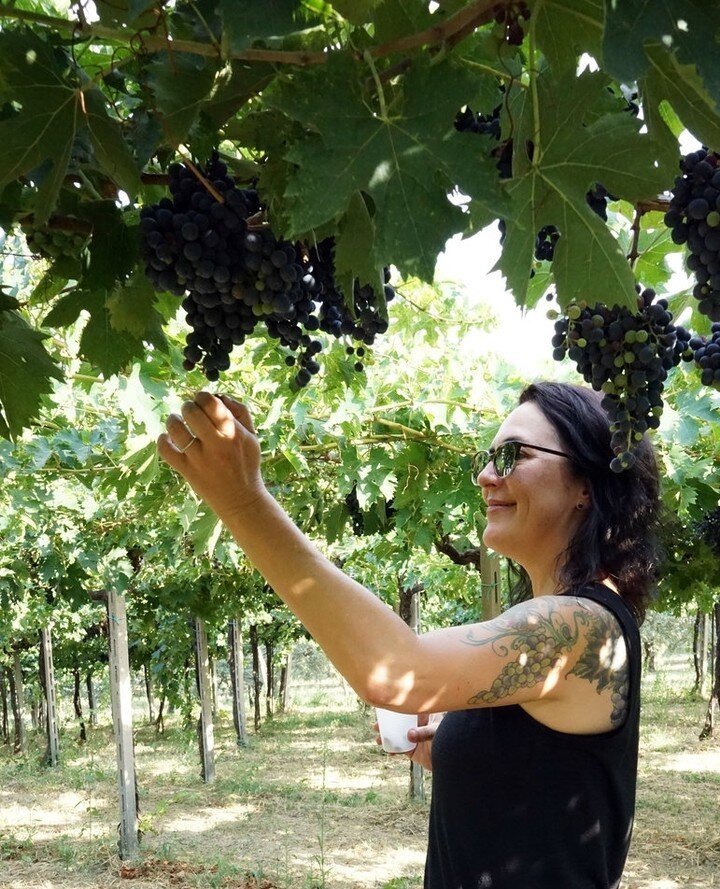 @AmyAtwoodWine appreciation post!⁠
⁠
Naturally, we've added grape leaves into Future Gin as an ode to all she does with @amyatwoodselections. 🍇