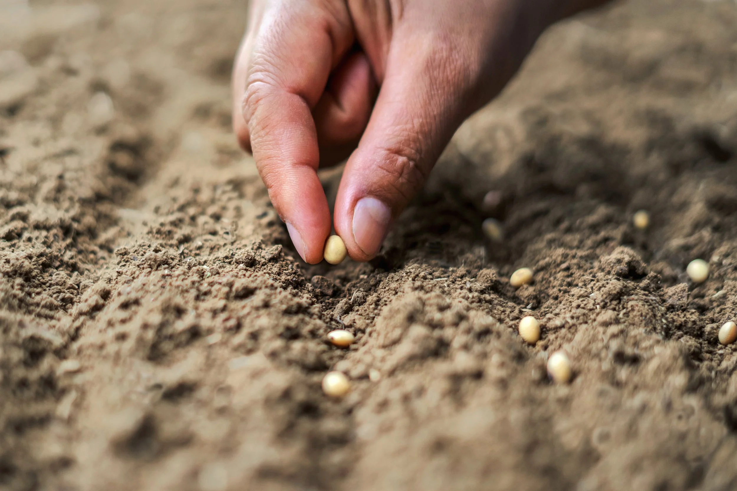 Are You "Good Soil"? Cultivating Spiritual Growth in Frederick, MD