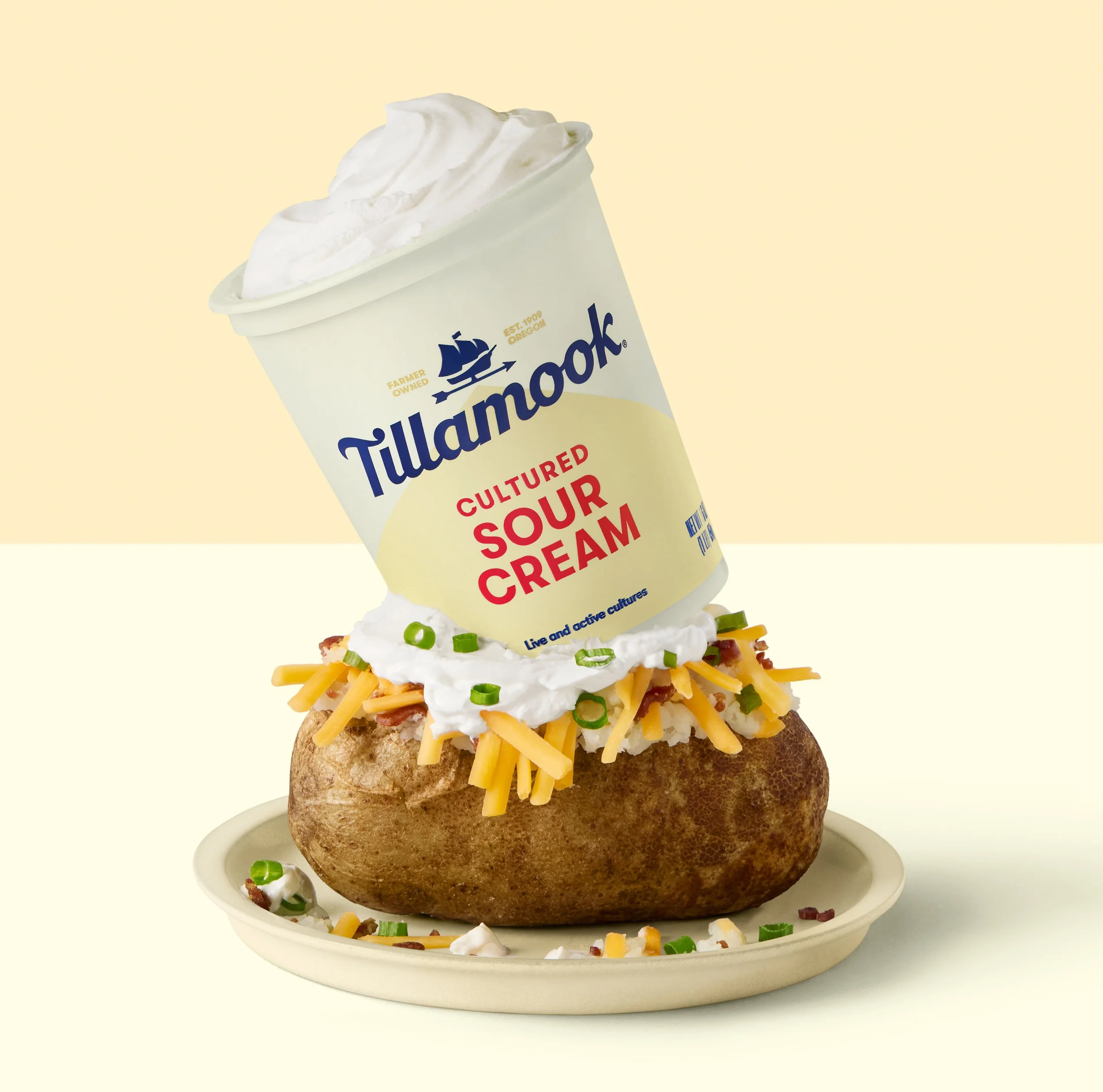 Tillamook_1x1_SourCream.jpg