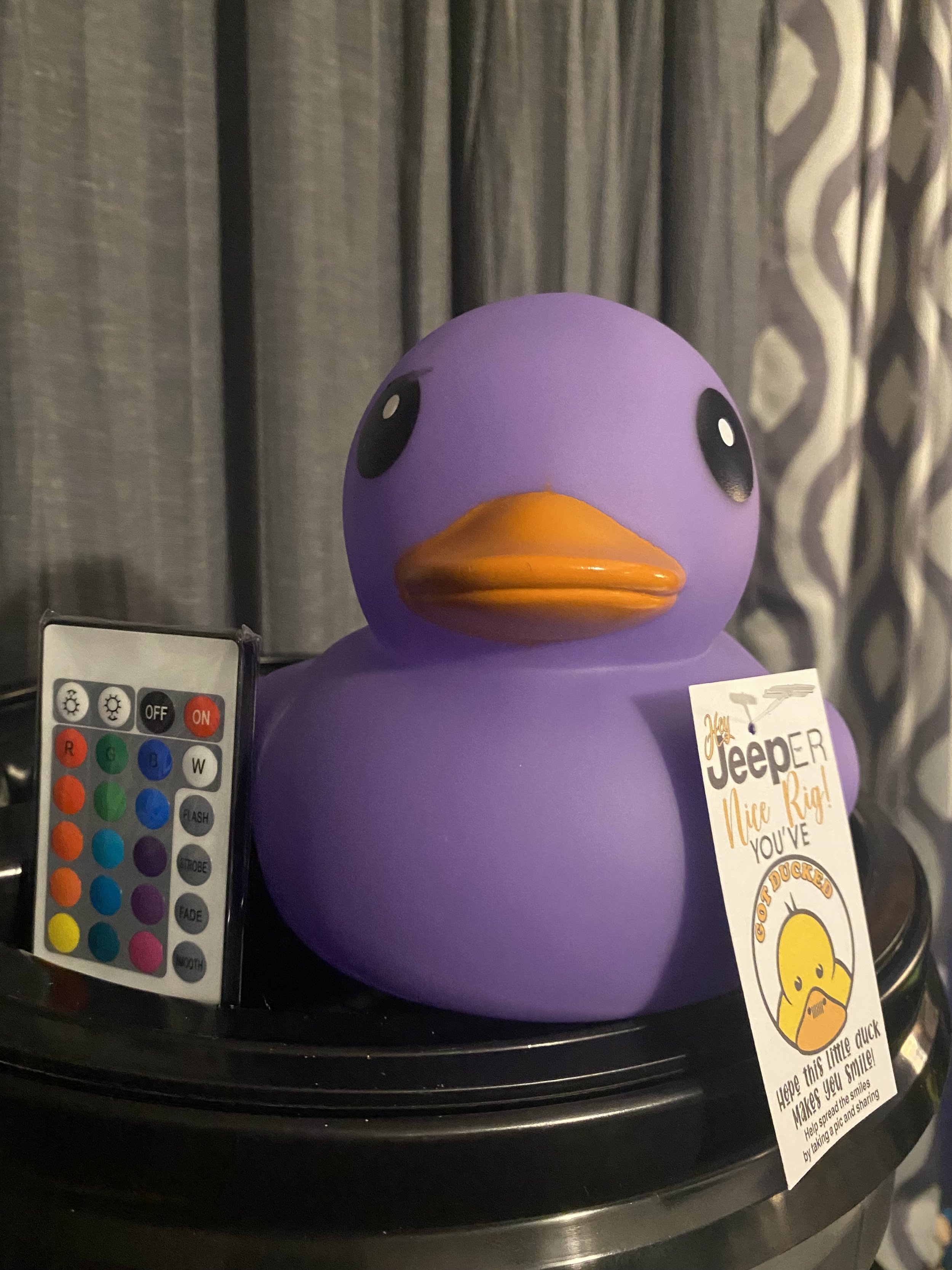 LED LIGHT UP DUCK WITH REMOTE — The Original \