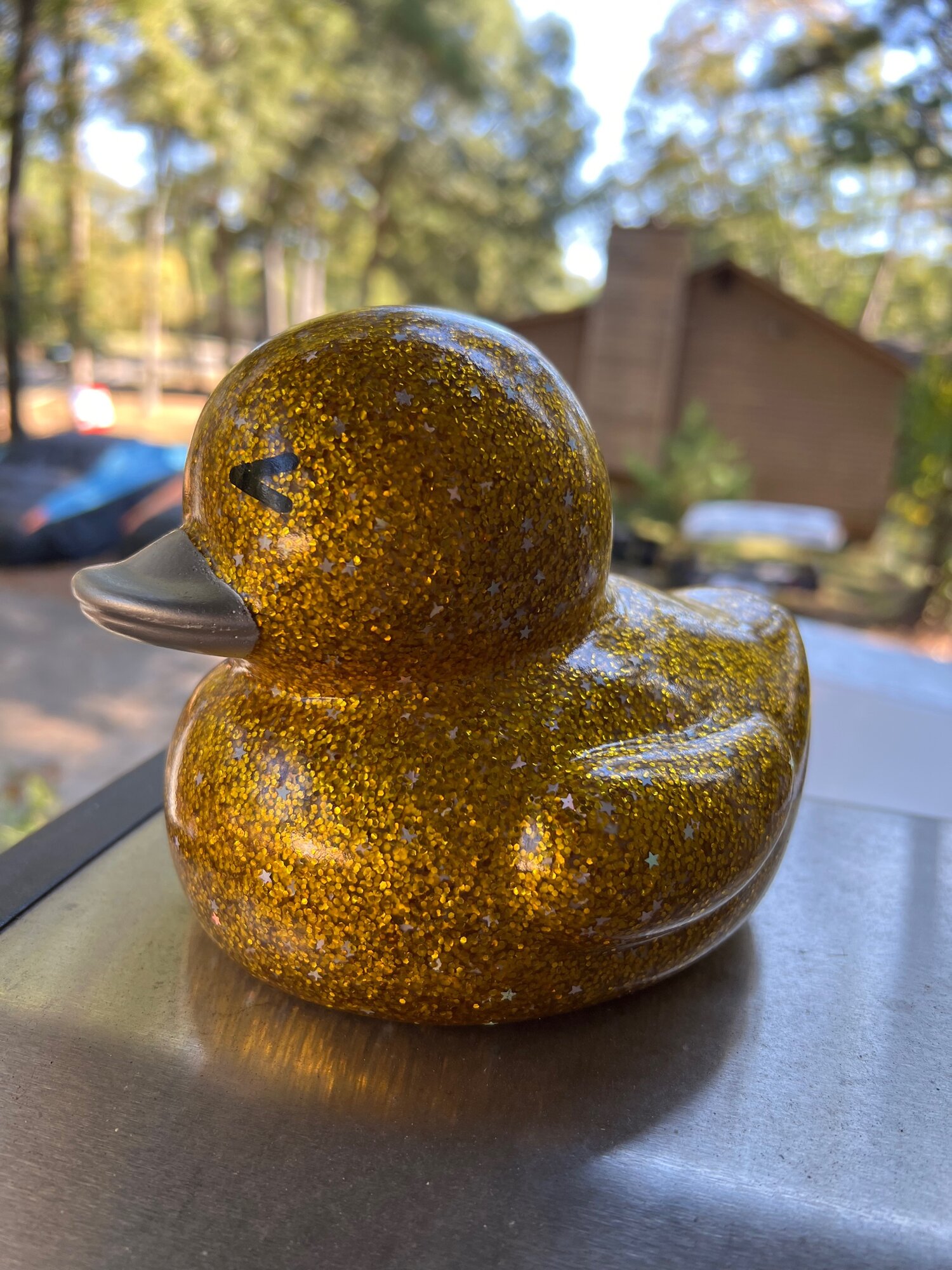 Glitter Ducks