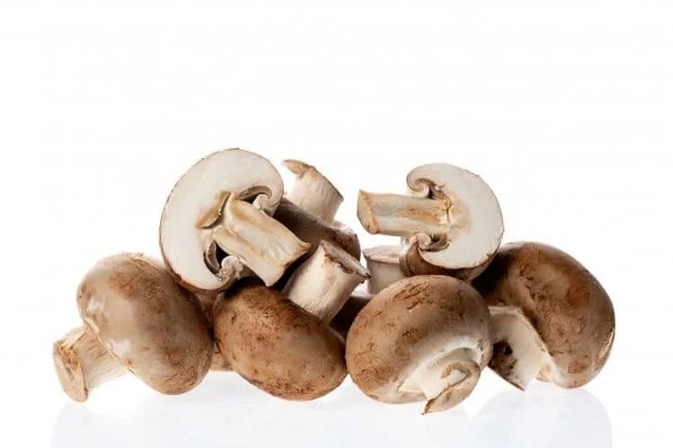 EFFECTS OF MUSHROOMS