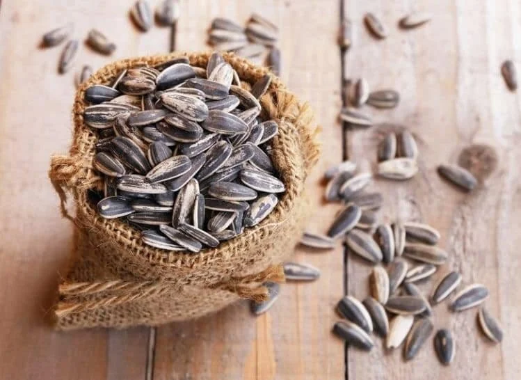 EFFECTS OF SUNFLOWER SEED