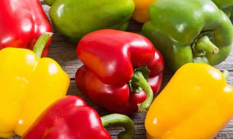 EFFECTS OF BELL PEPPER