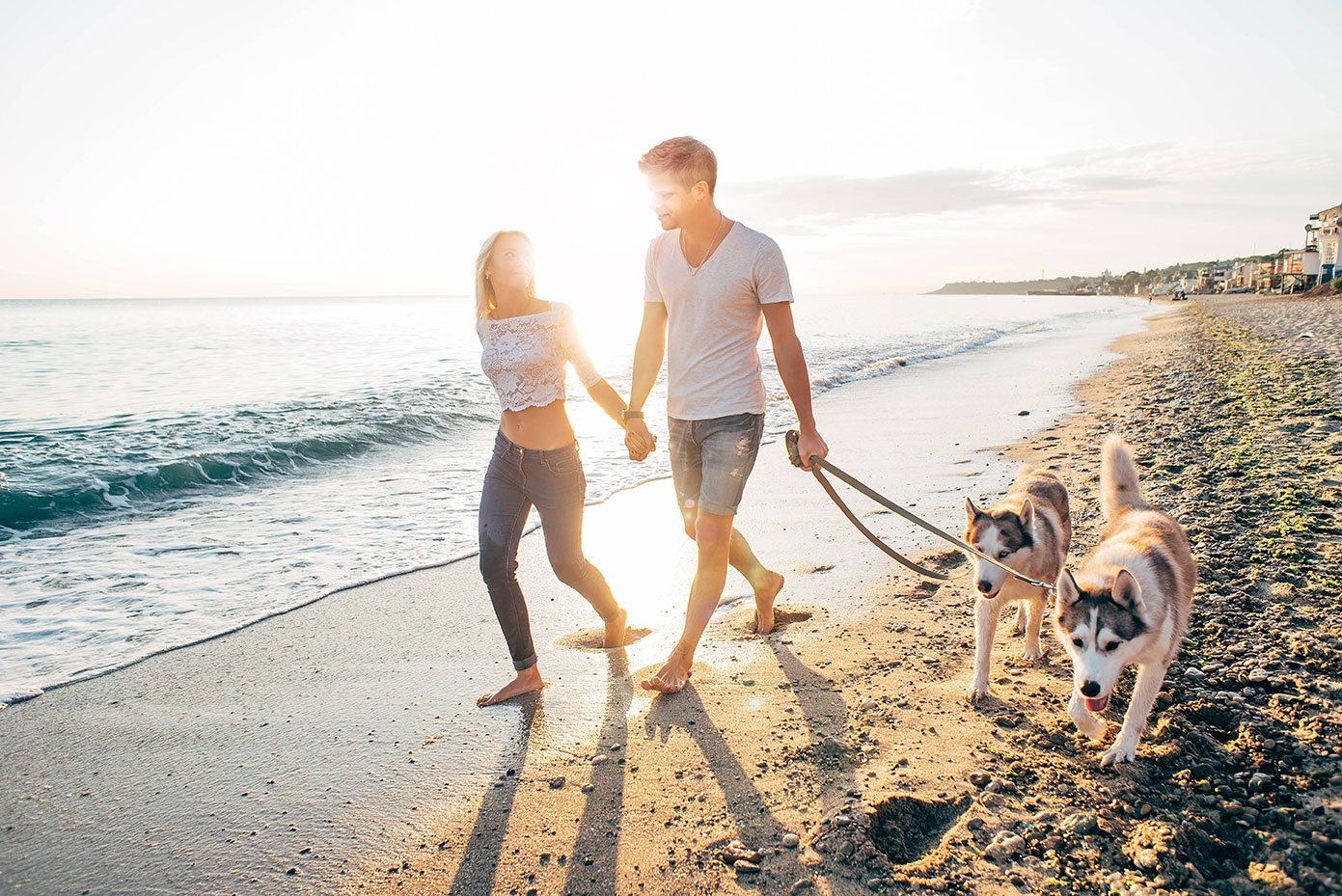 Couple walking on the beach with two dogs