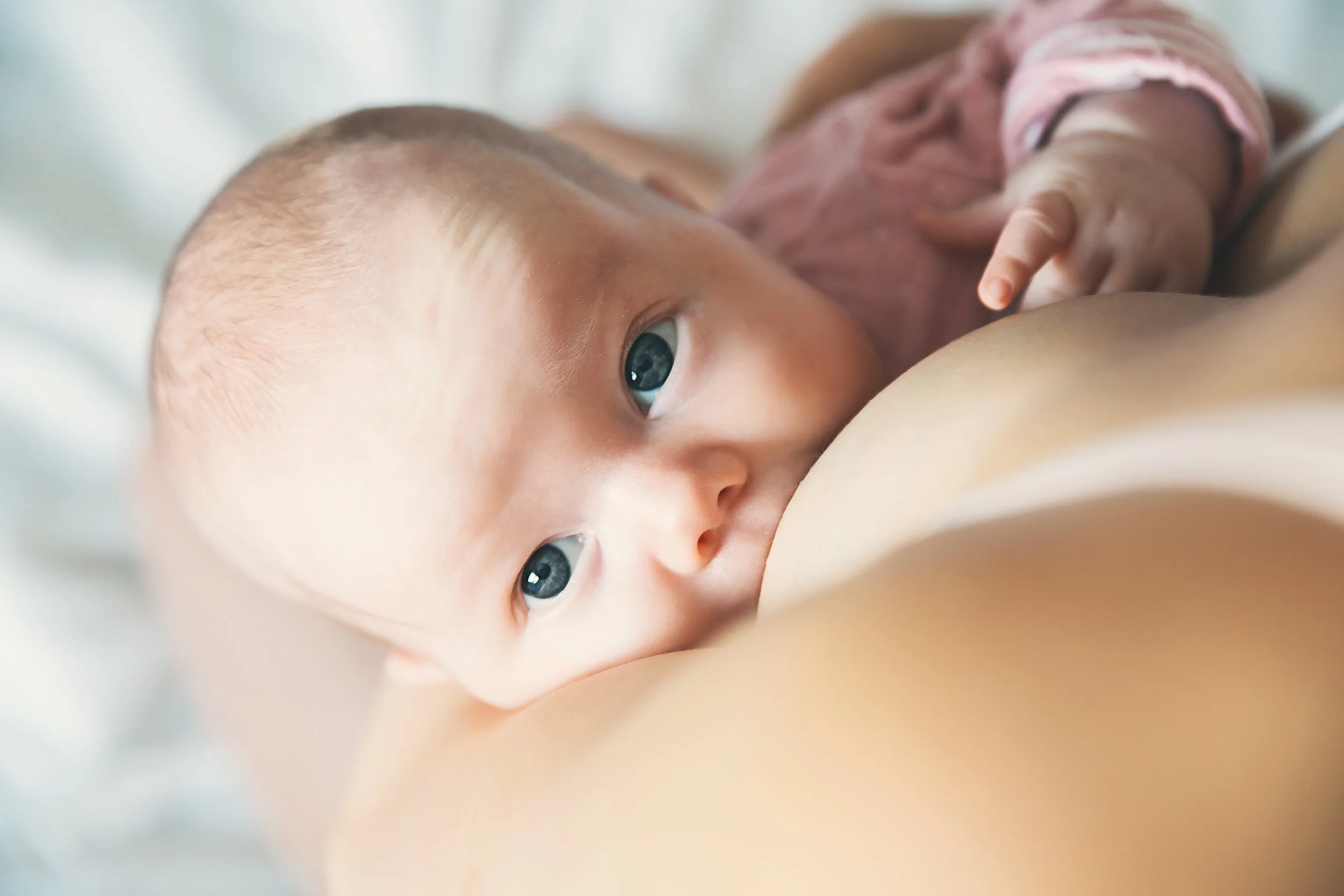 shutterstock_745570315.jpg