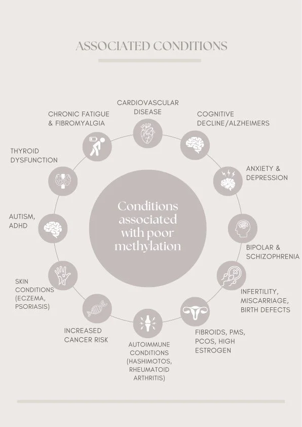 Methylation Handout PDF-2.jpg