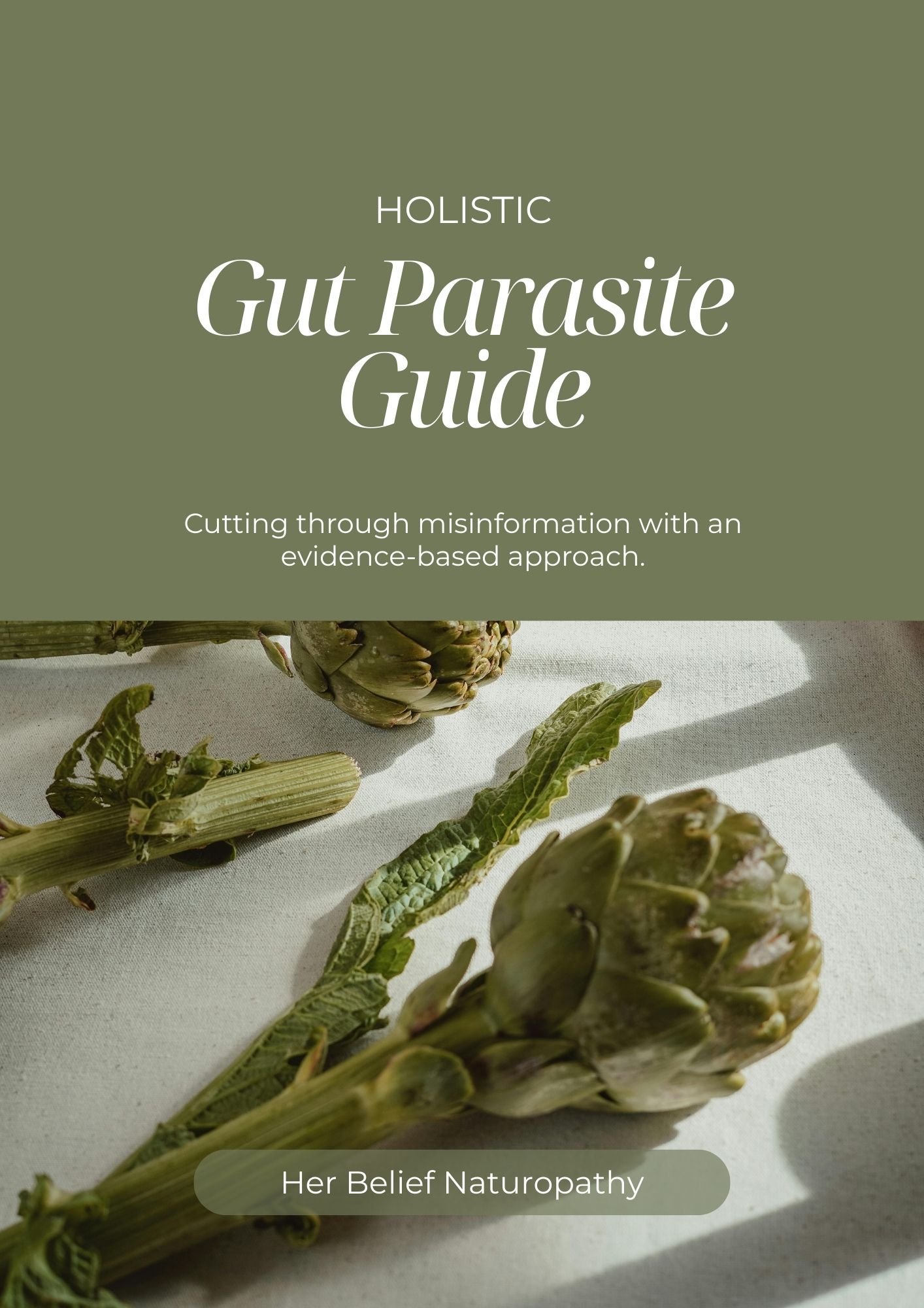 Copy of Gut Parasite Booklet.jpg