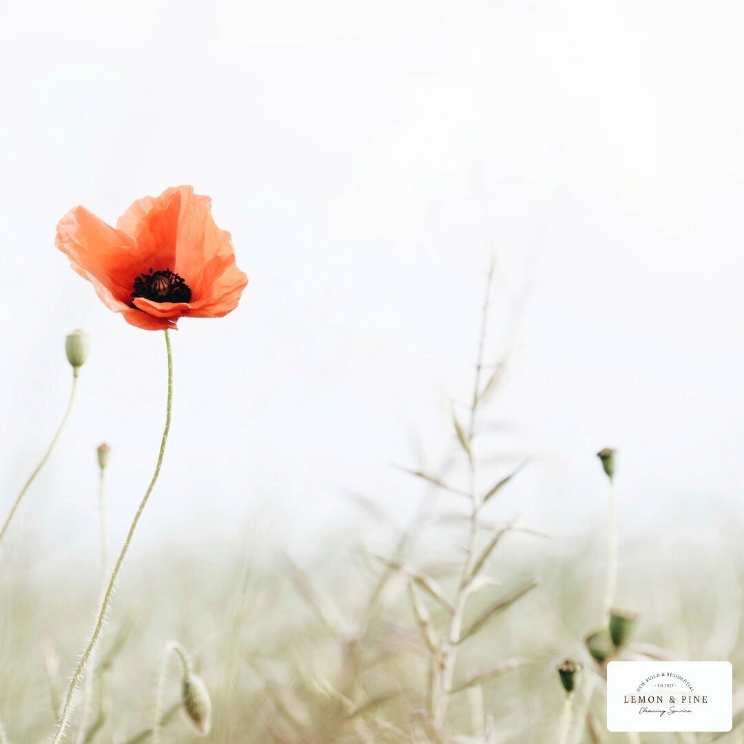 We will remember them. ⁠
⁠
The Lemon &amp; Pine team will be taking the day to remember all those who sacrificed their lives in honour of our freedom. ⁠
⁠
Scheduled cleanings will resume tomorrow.⁠
.⁠
.⁠
.⁠
.⁠
.⁠
#weremember #remembranceday #canadare