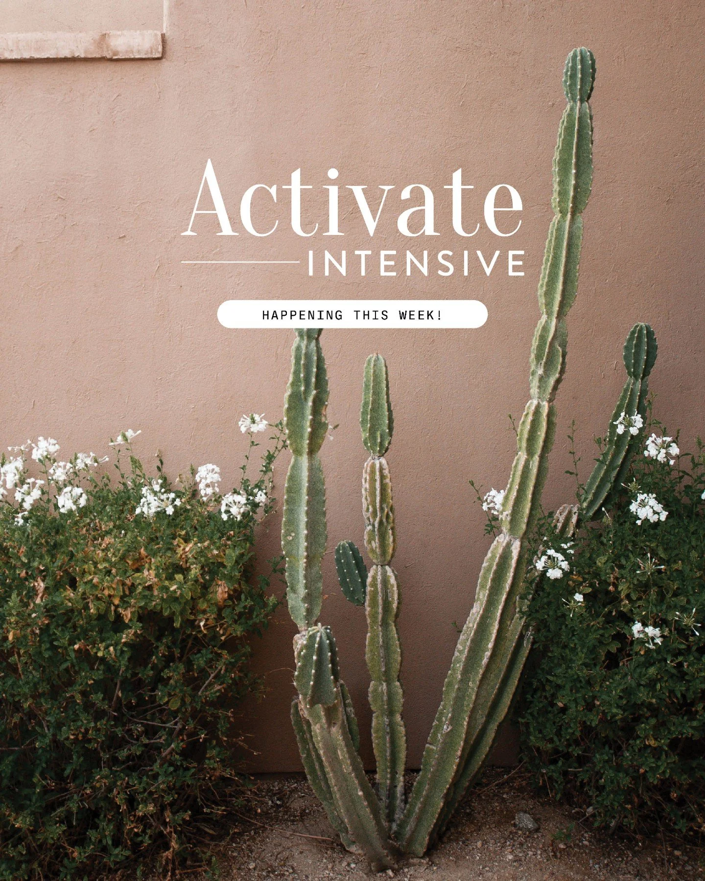 The time is here! We are so excited to welcome our Activate Intensive community to Arizona this week.

Would you pray for the encounters that these women will have during their time here? We are expectant for Holy Spirit to move in big ways.