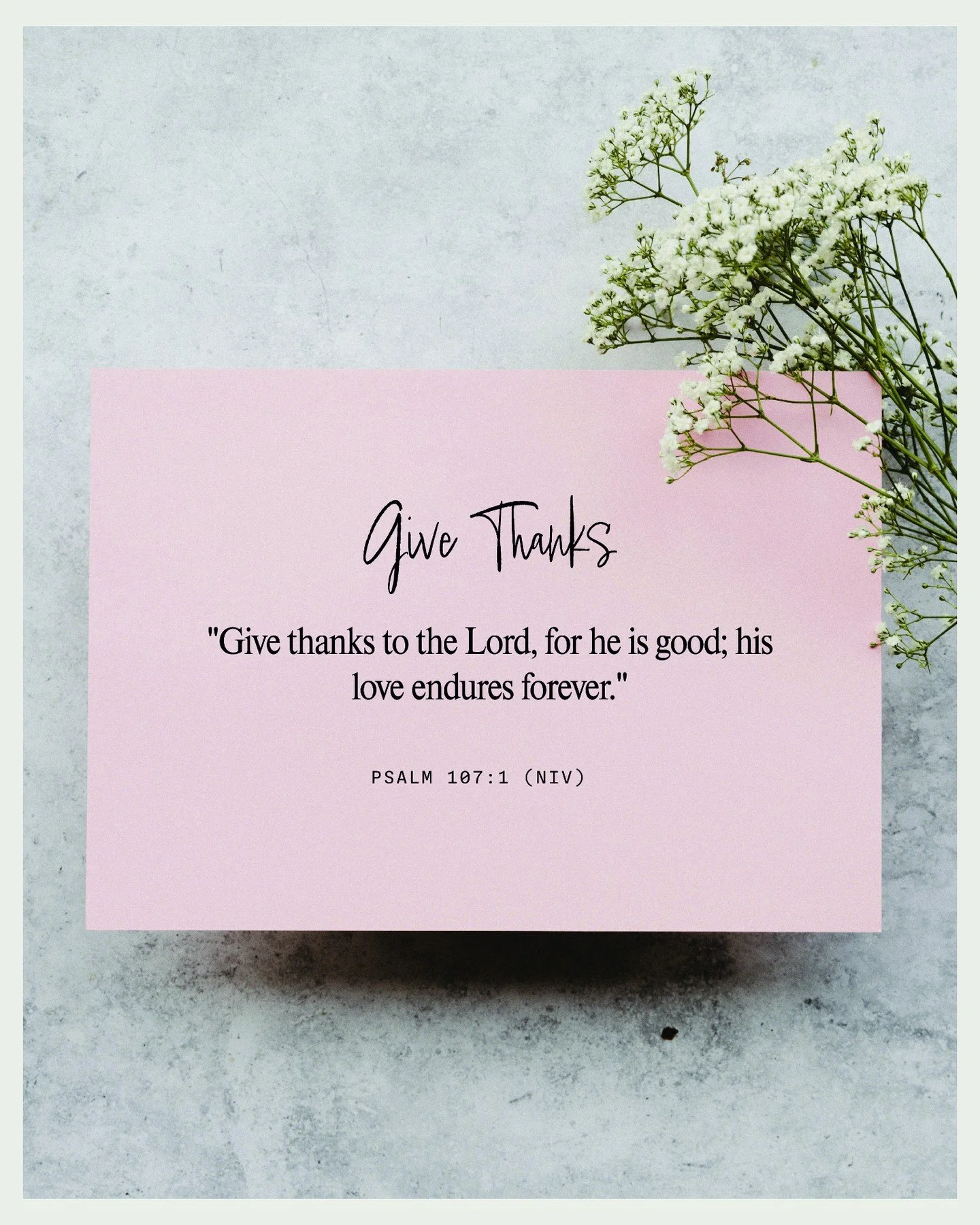 This Thanksgiving, we&rsquo;re slowing down to notice the sacred in the simple- God&rsquo;s presence in everyday moments, quiet faithfulness, and the steady work He&rsquo;s doing in and through His daughters.

From our table to yours, Happy Thanksgiv