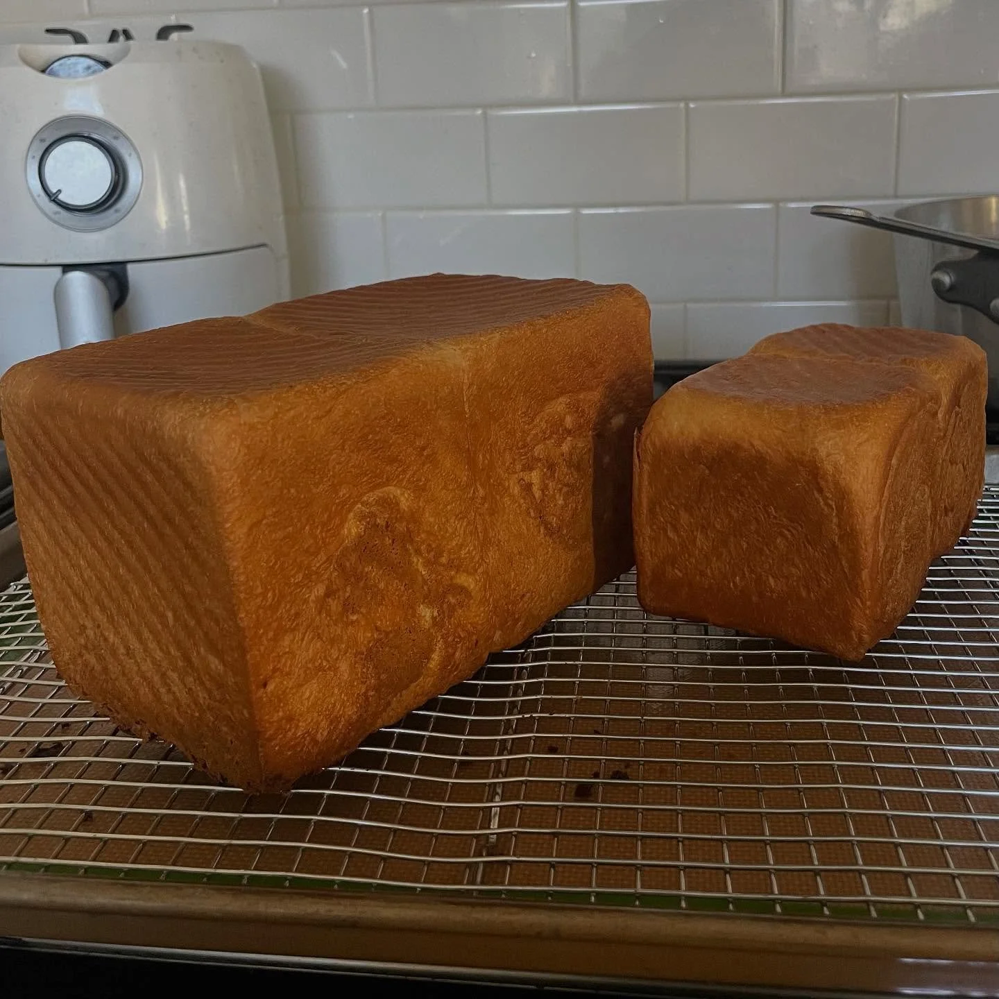 ✨ Say hello to our newest bakes! ✨

Our Japanese Milk Bread is soft, fluffy, and delicately sweet&mdash;with that signature milky richness that makes every bite irresistible. Enjoy it on its own or as the perfect base for your favorite sandwiches and