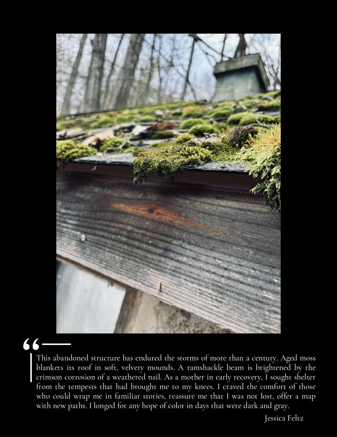 Close-up of an old, moss-covered wooden roof with a weathered, rusted nail and a small weathered structure in the background. The scene is set outdoors with trees in the background.