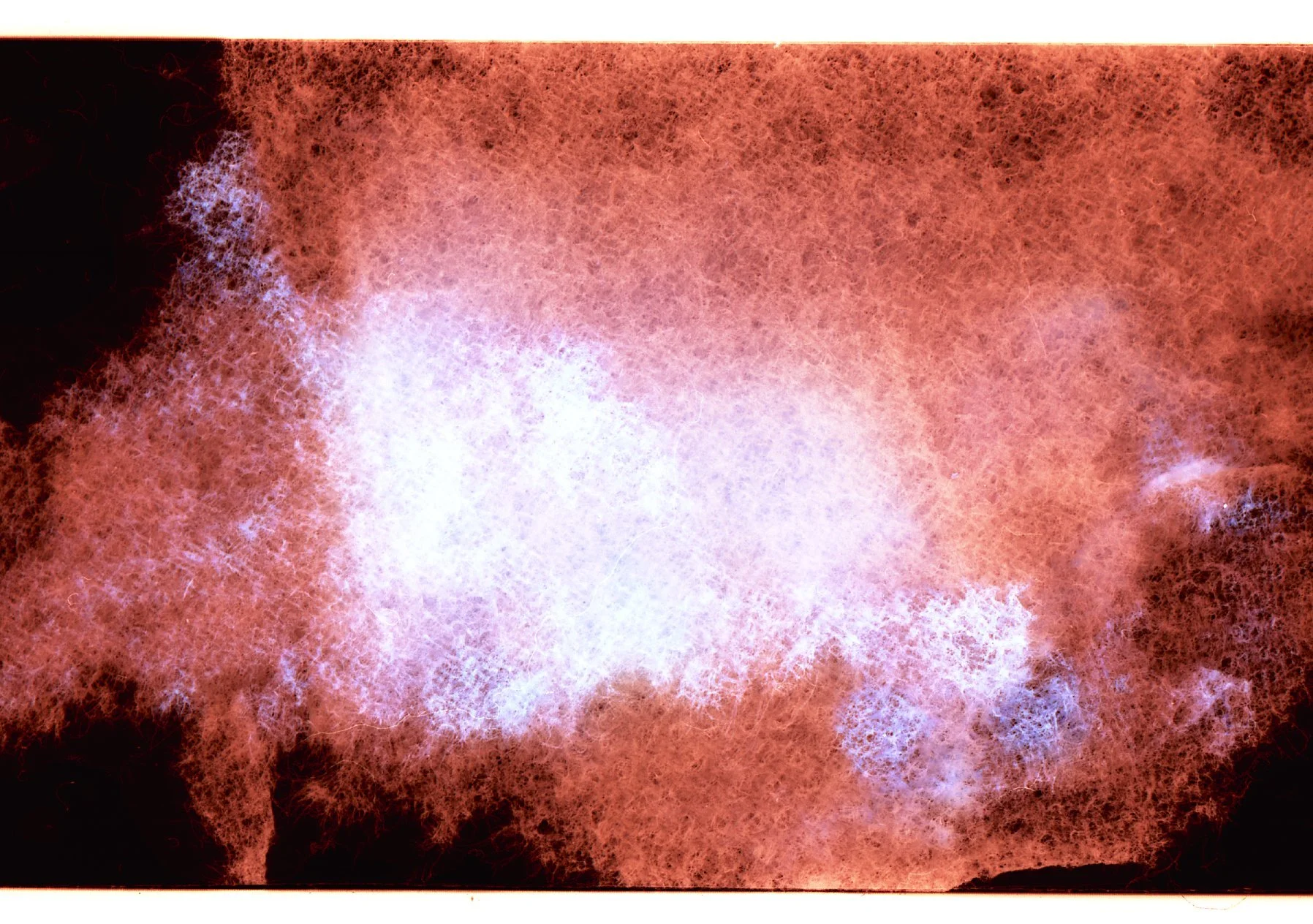 0032 copy.jpg