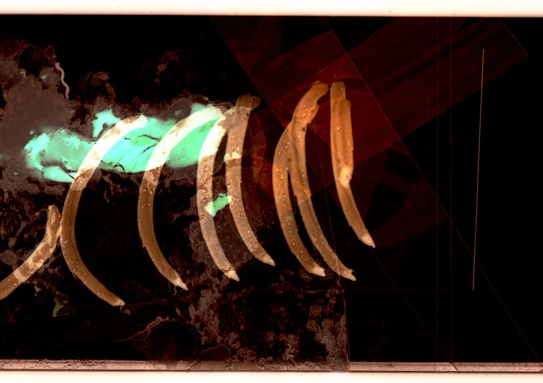 0030 copy.jpg