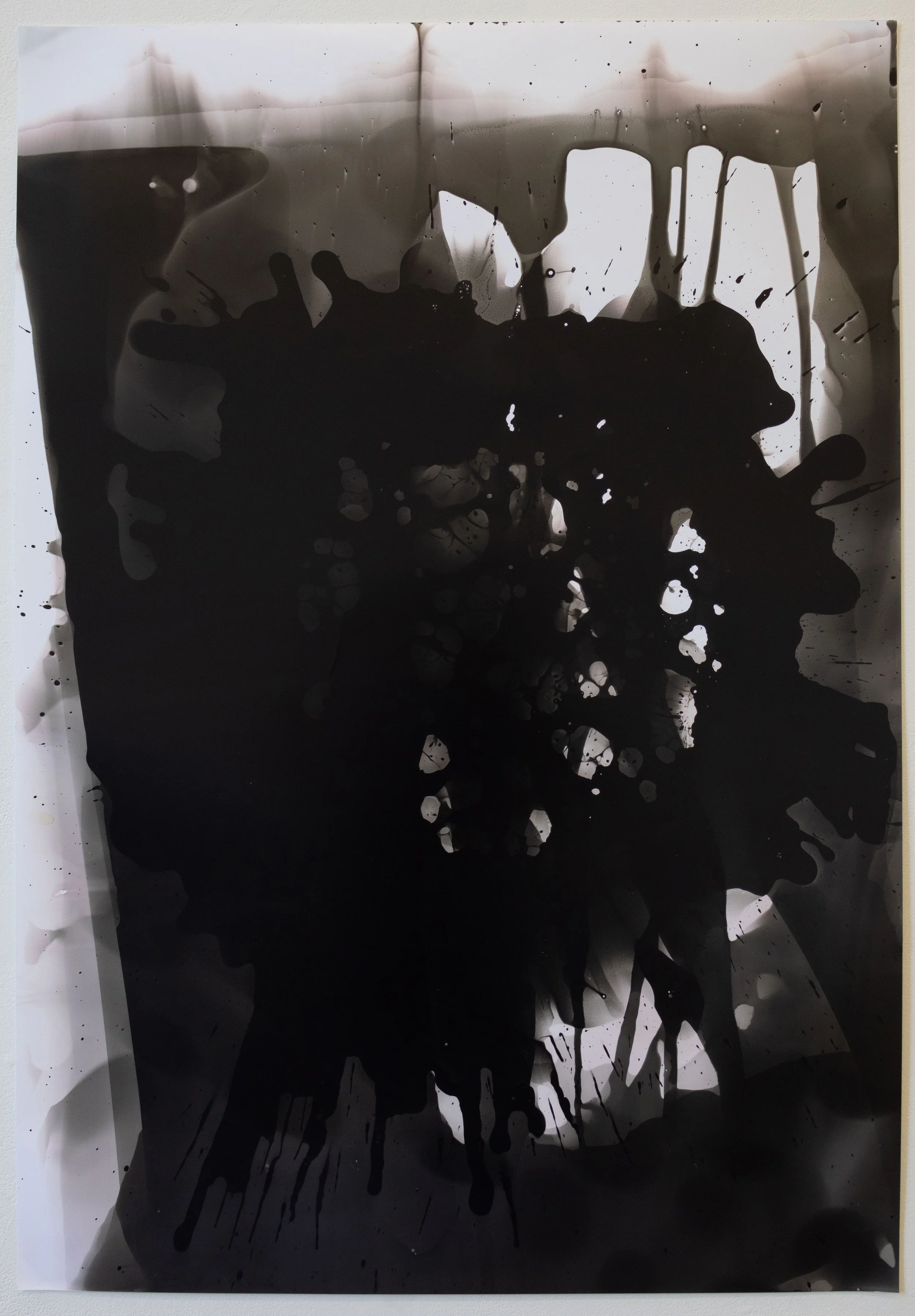 41 1/2” x 34"