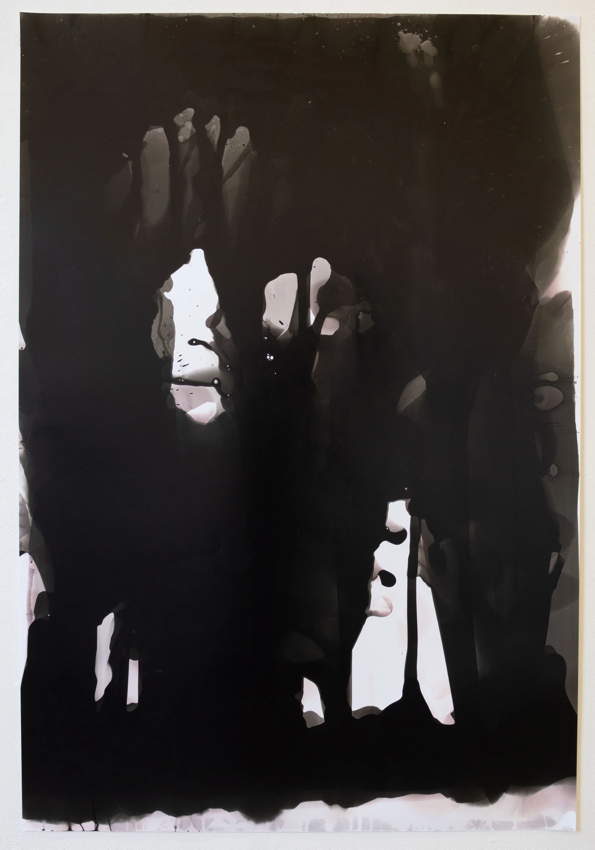 41 1/2” x 34"