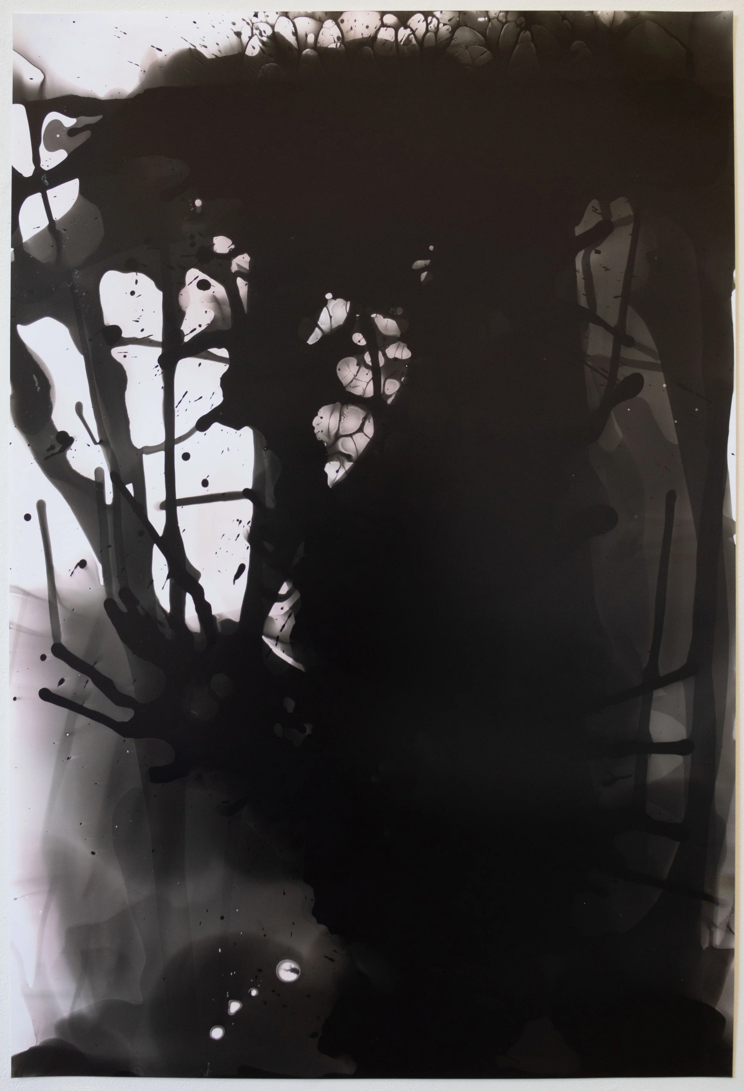 (Stage light exposure) 42" x 28 1/2"