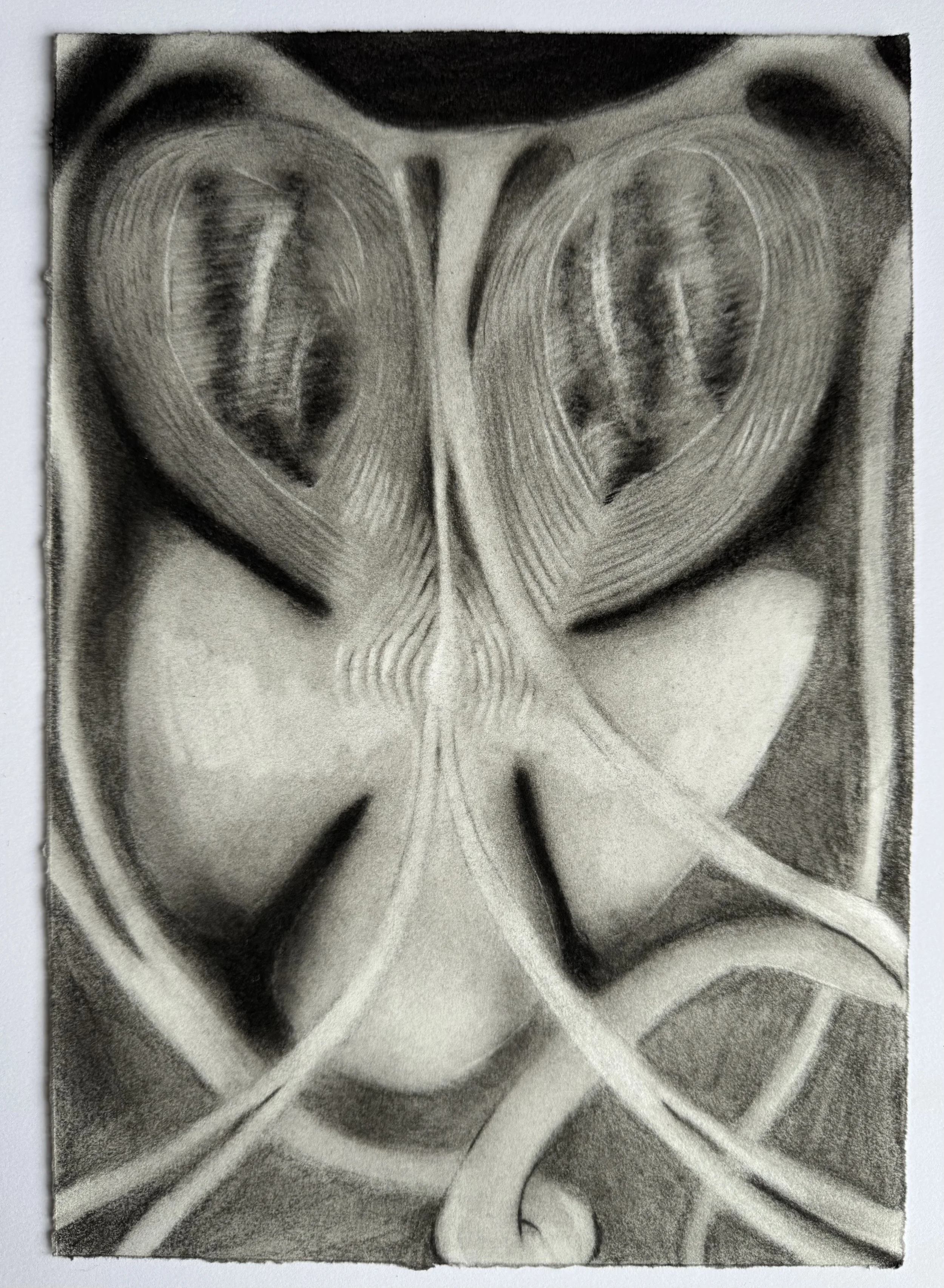Suction tubes
2025
Charcoal
11 ½” x 8”